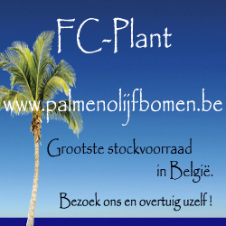 FC PLANT BANNER