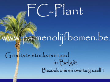 FC PLANT BANNER