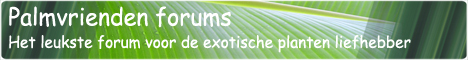 palmvriendenforums(ronde hoeken)468x60 palmvriendenforums(ronde hoeken)468x60
