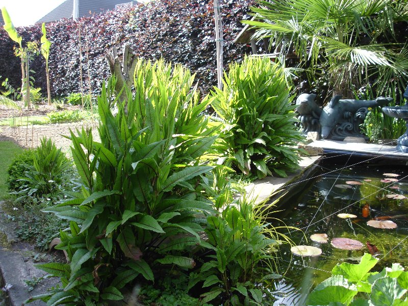 tuin 402_800x600.jpg