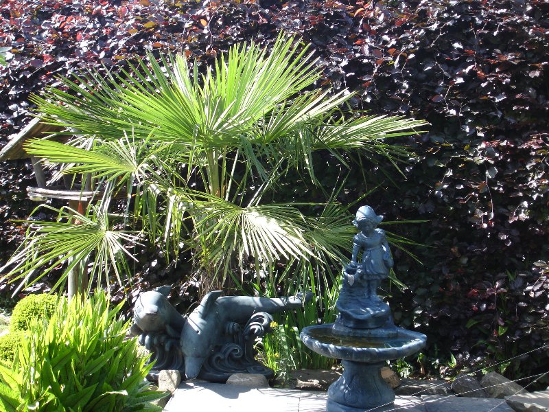 tuin 409_800x600.jpg