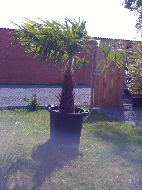 foto 3 (3).JPG