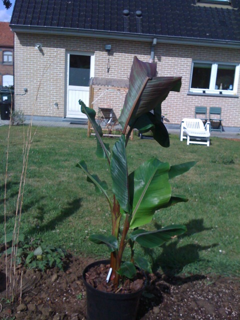 foto 2 (7).JPG