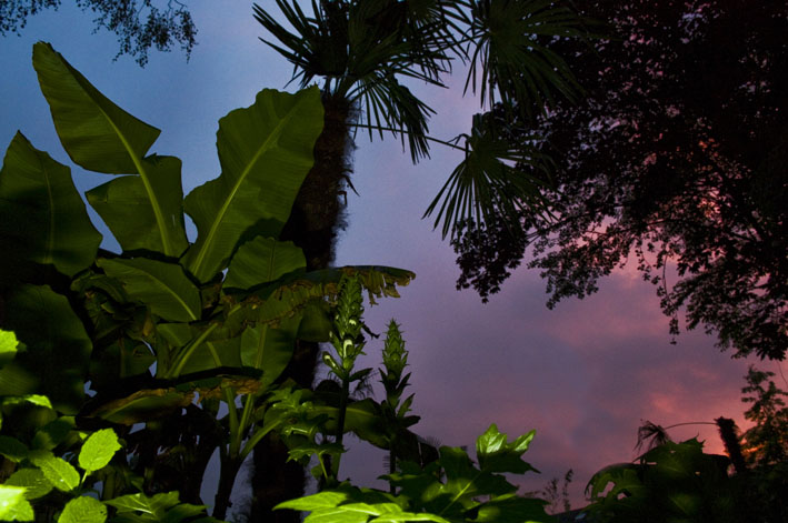 by night.jpg