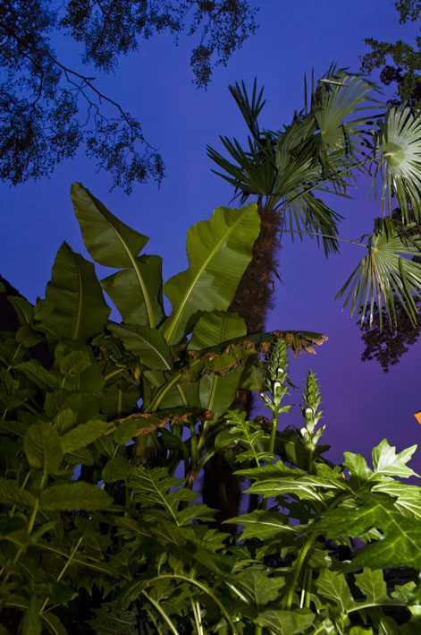 by night 1.jpg