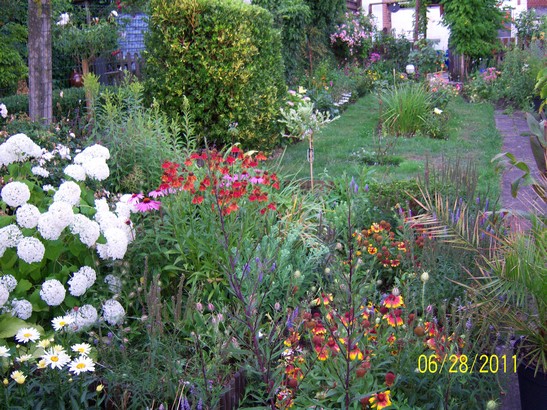 100_1170.jpg