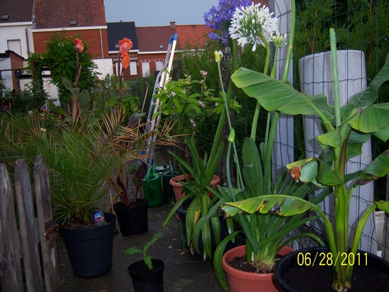 100_1166.jpg
