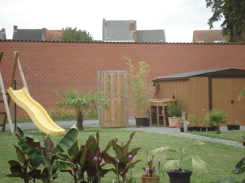DSC06679.JPG