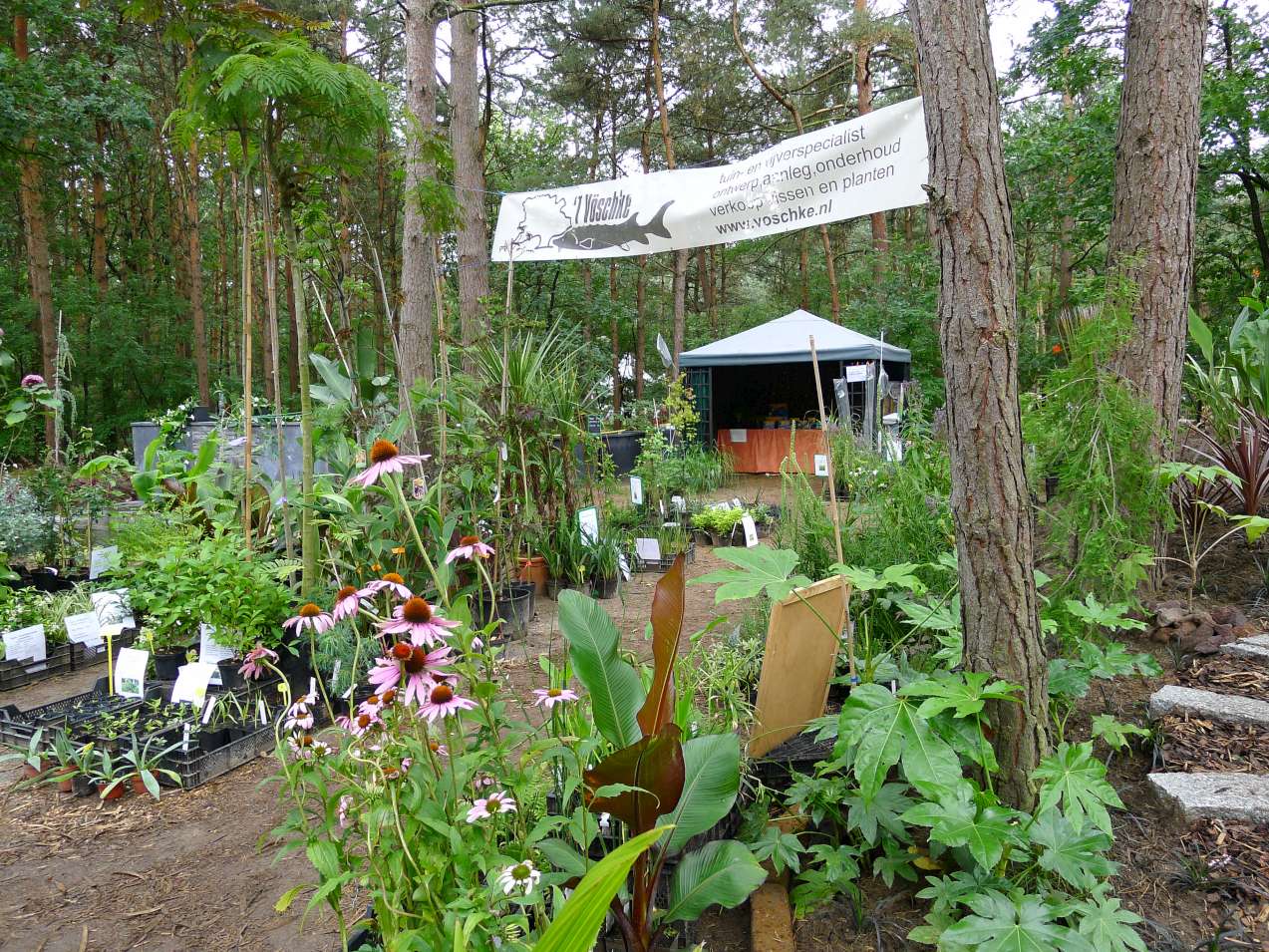 P1040877-K295.jpg