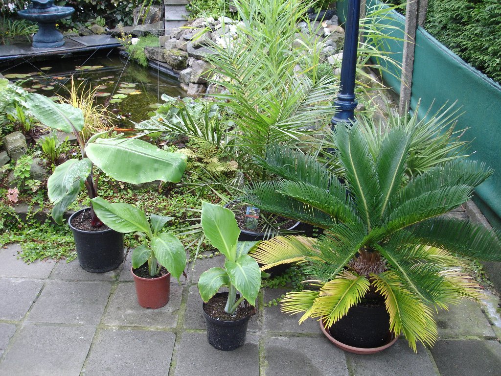 tuin 310_1024x768.jpg