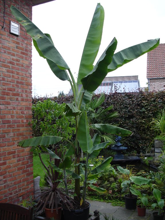 tuin 312_576x768.jpg