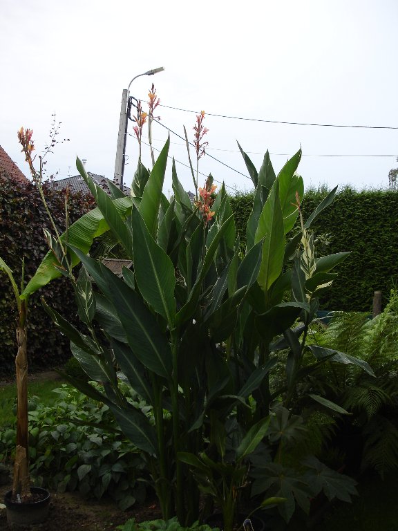 tuin 314_576x768.jpg