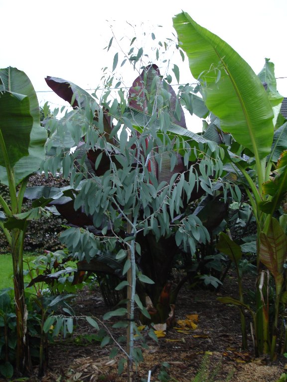 tuin 316_576x768.jpg