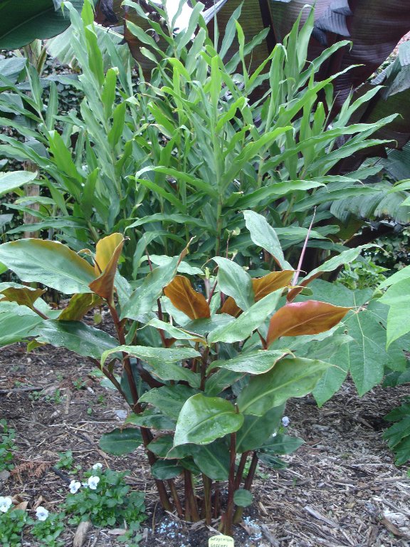 tuin 322_576x768.jpg