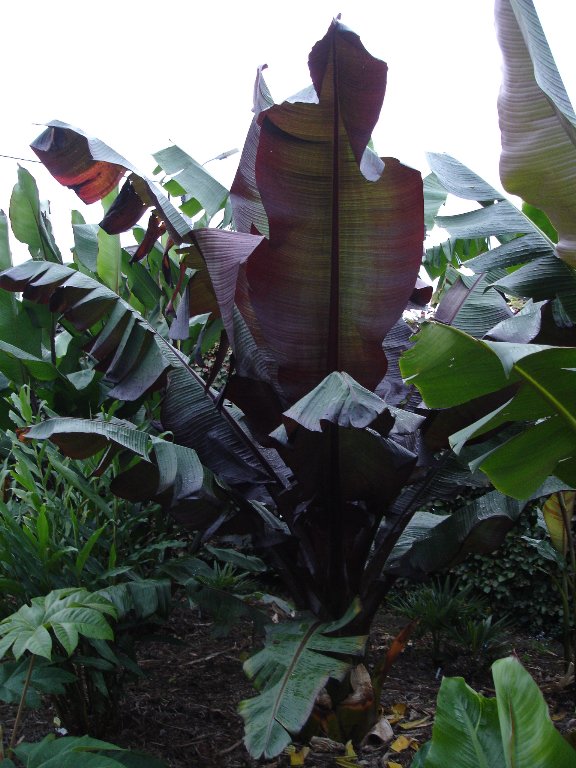 tuin 326_576x768.jpg