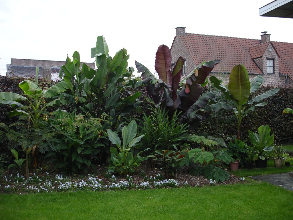 tuin 327_1024x768.jpg