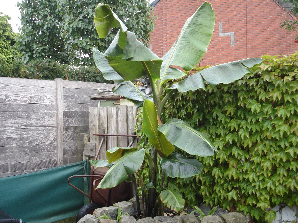 tuin 329_1024x768.jpg