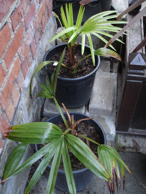 tuin 330_576x768.jpg