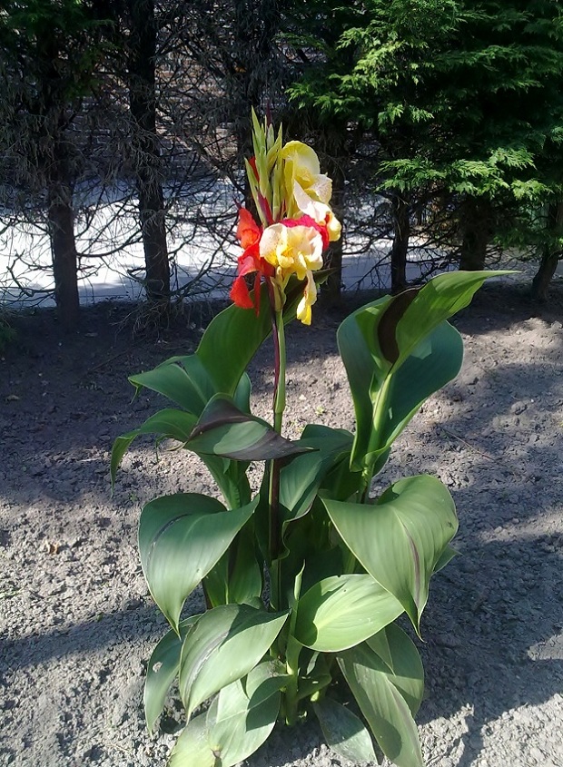 010820111206 - kopie.jpg