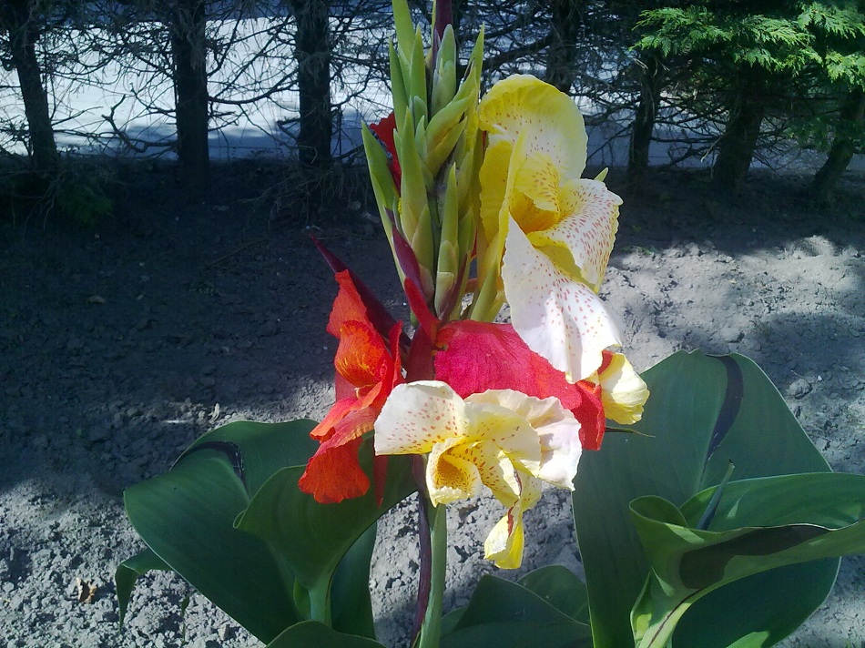 010820111205 - kopie.jpg