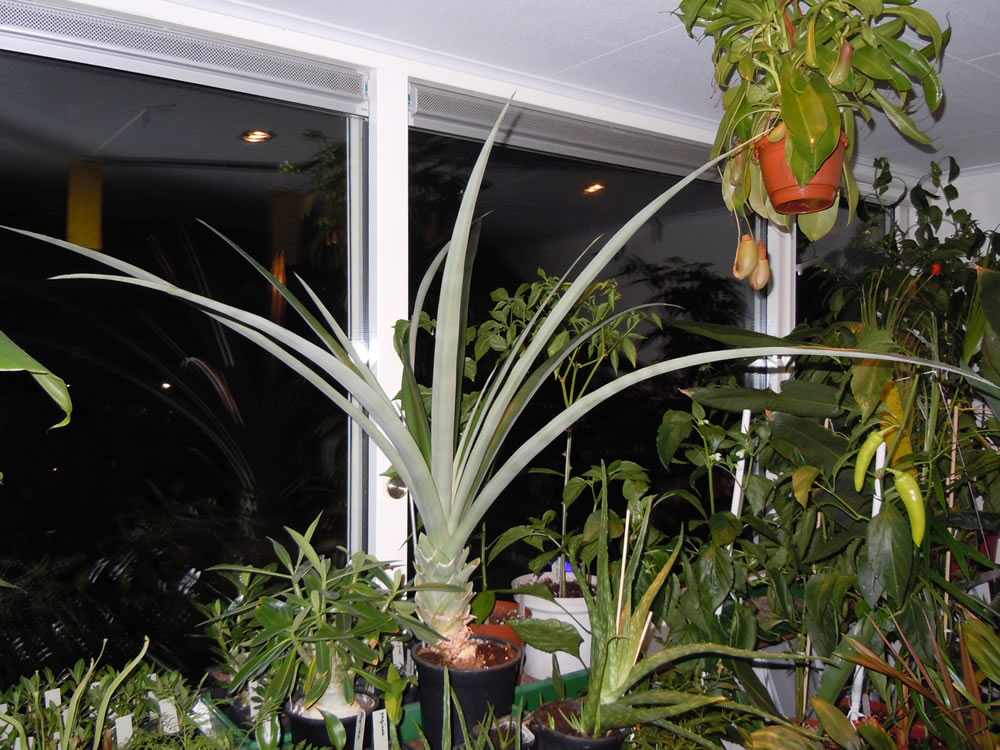 DSCN2391.jpg
