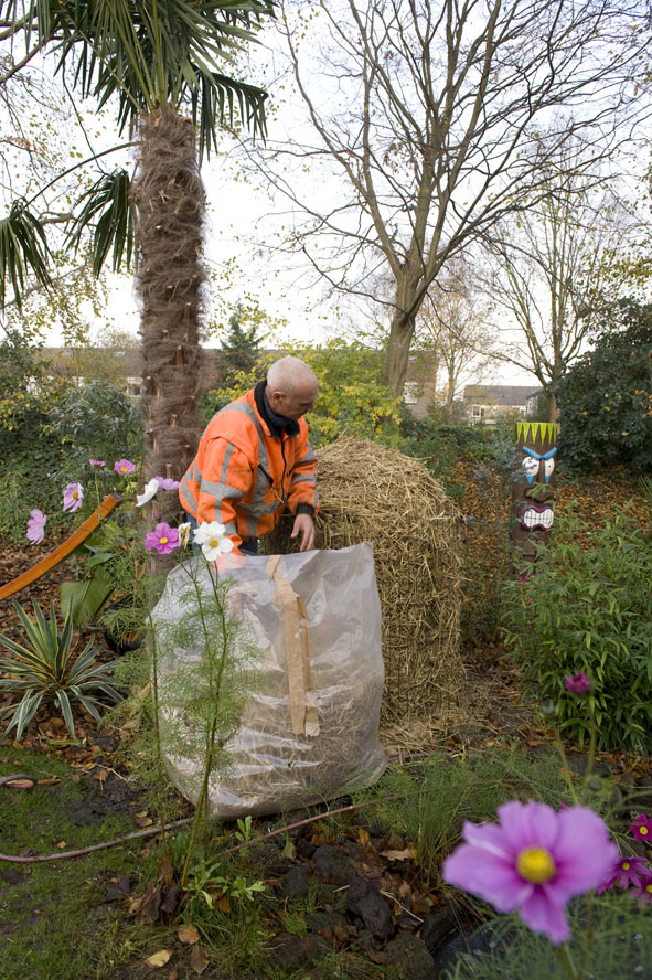 20 nov musa basjoo in stro.jpg