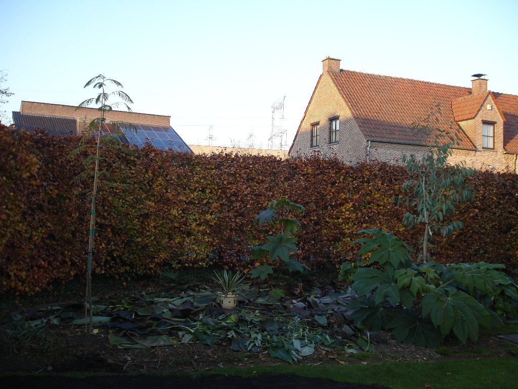 tuin 399_1024x768.jpg