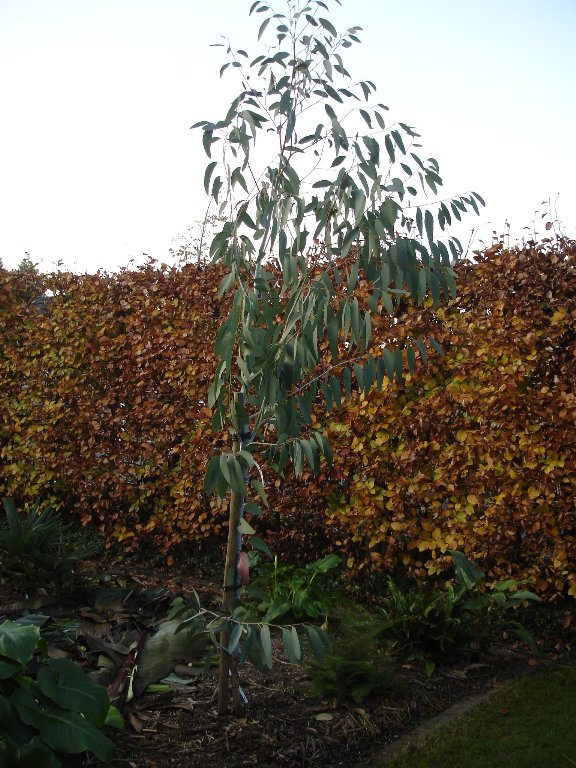 tuin 401_576x768.jpg