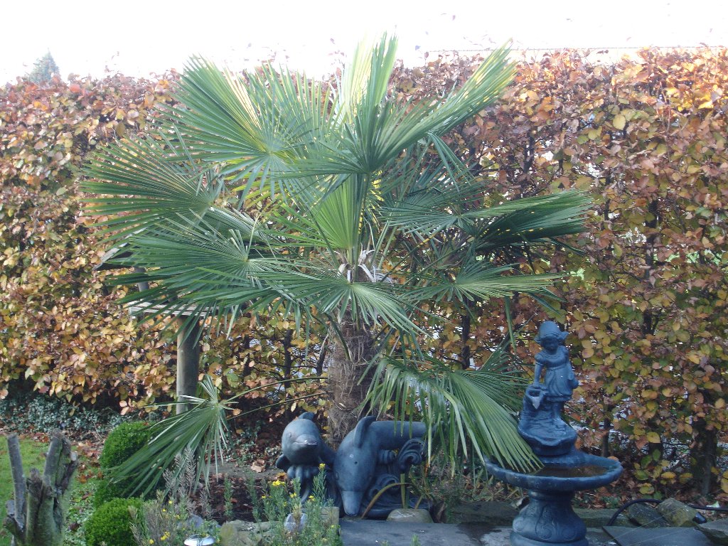 tuin 403_1024x768.jpg