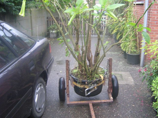 07102008 004.jpg