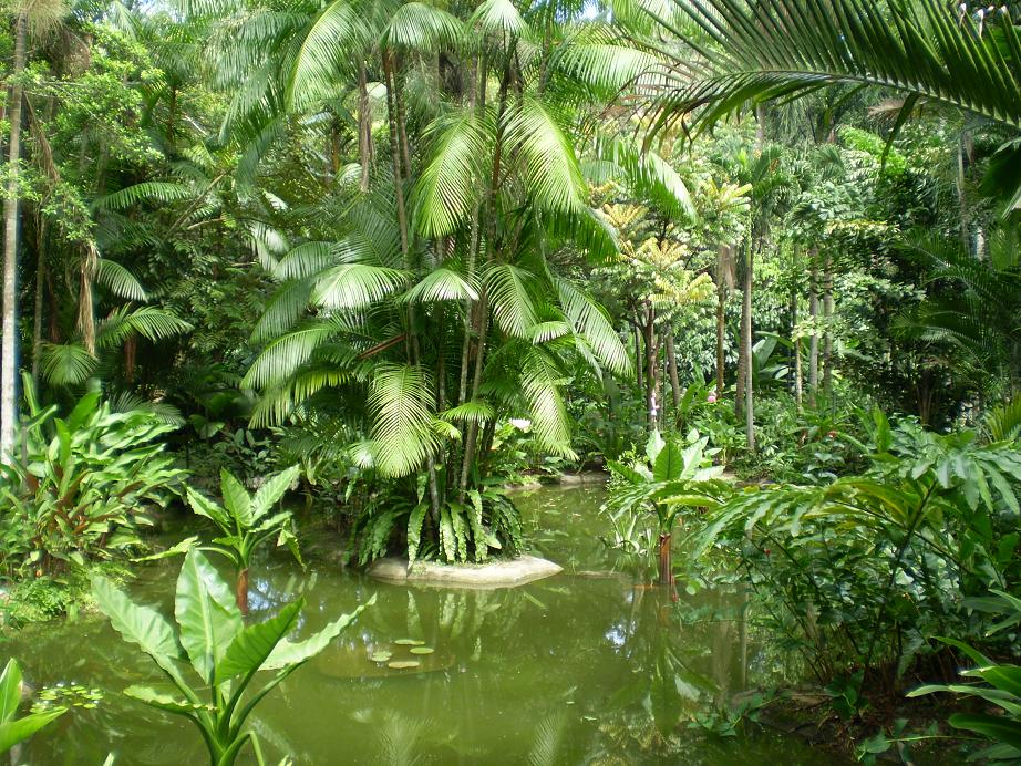 Asia 2011 014a.jpg