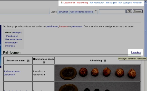 wiki1.jpg