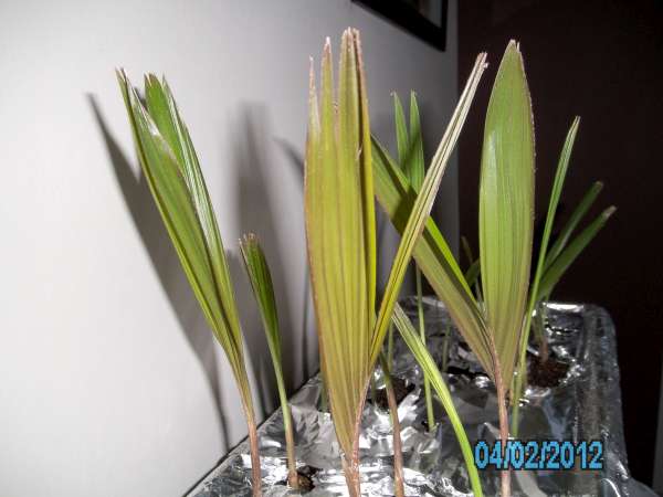 PICT0070-600.jpg