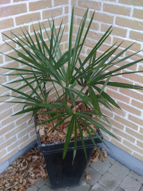 2012foto 3.JPG