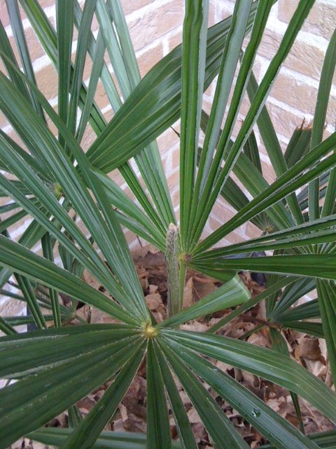 2012foto 4.JPG