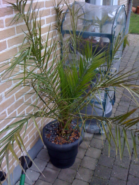 foto 2 (2).JPG