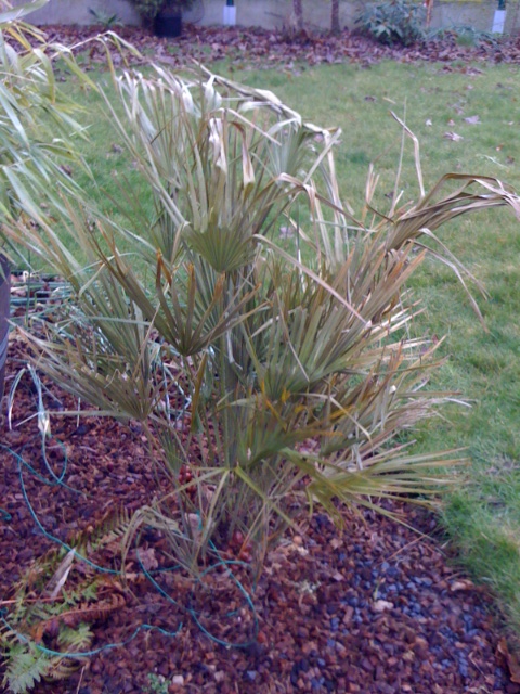 2012foto 4 (1).JPG