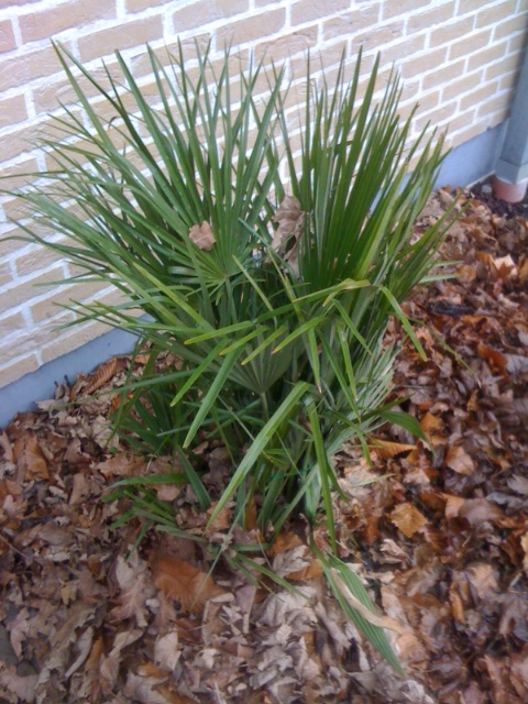 2012foto 5.JPG