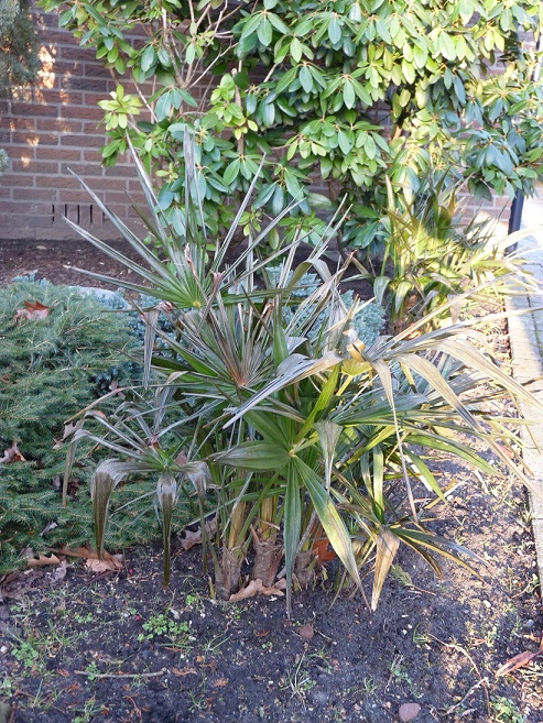 1F.jpg