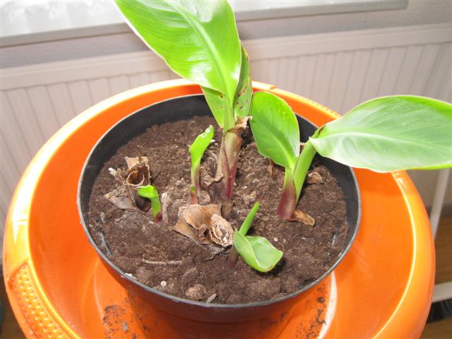 IMG_0927 (Small).jpg