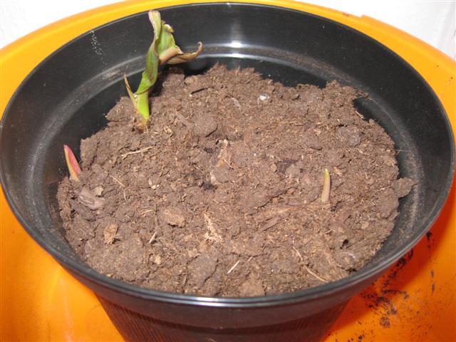 IMG_0930 (Small).jpg