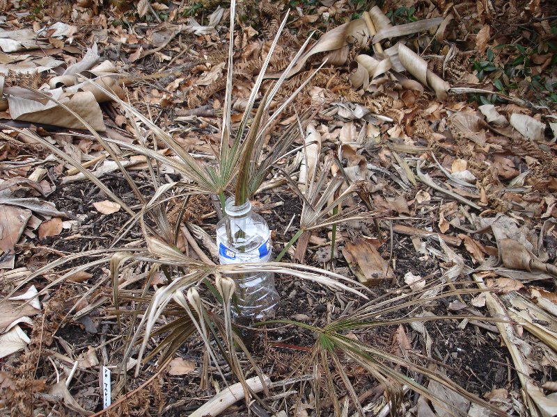 tuin 429_800x600.jpg