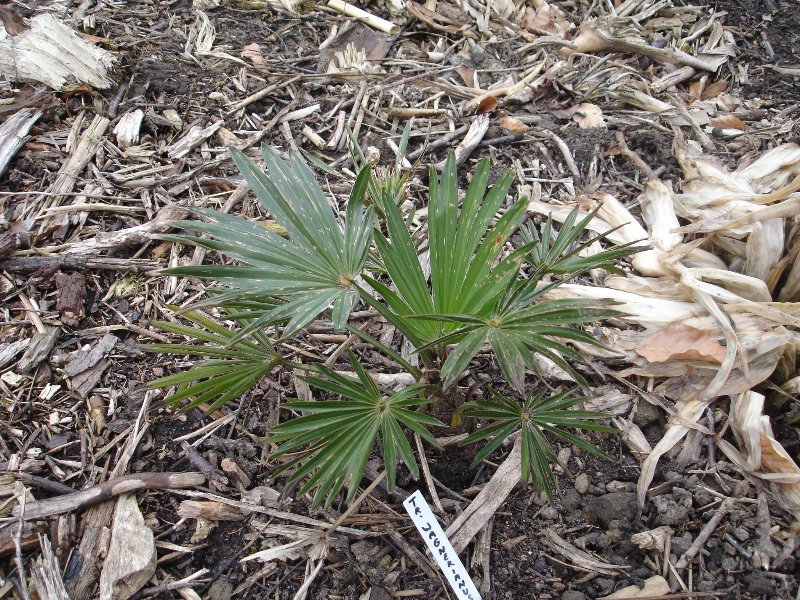 tuin 430_800x600.jpg