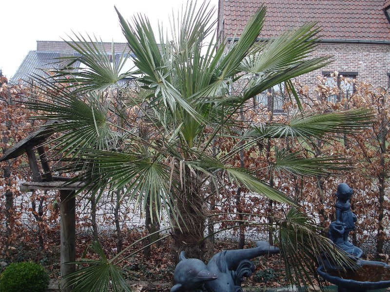 tuin 433_800x600.jpg