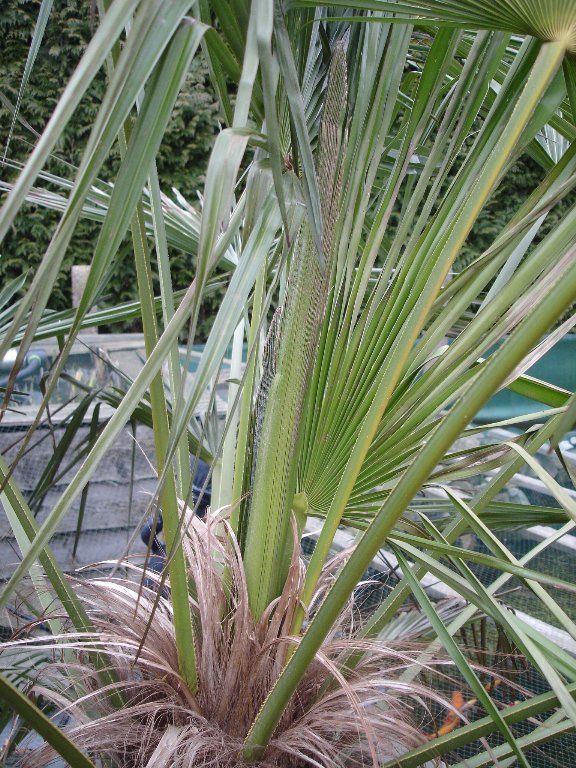 tuin 434_576x768.jpg