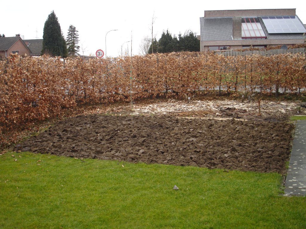 tuin 431_1024x768.jpg