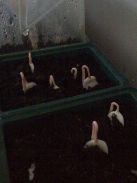 foto 3.JPG
