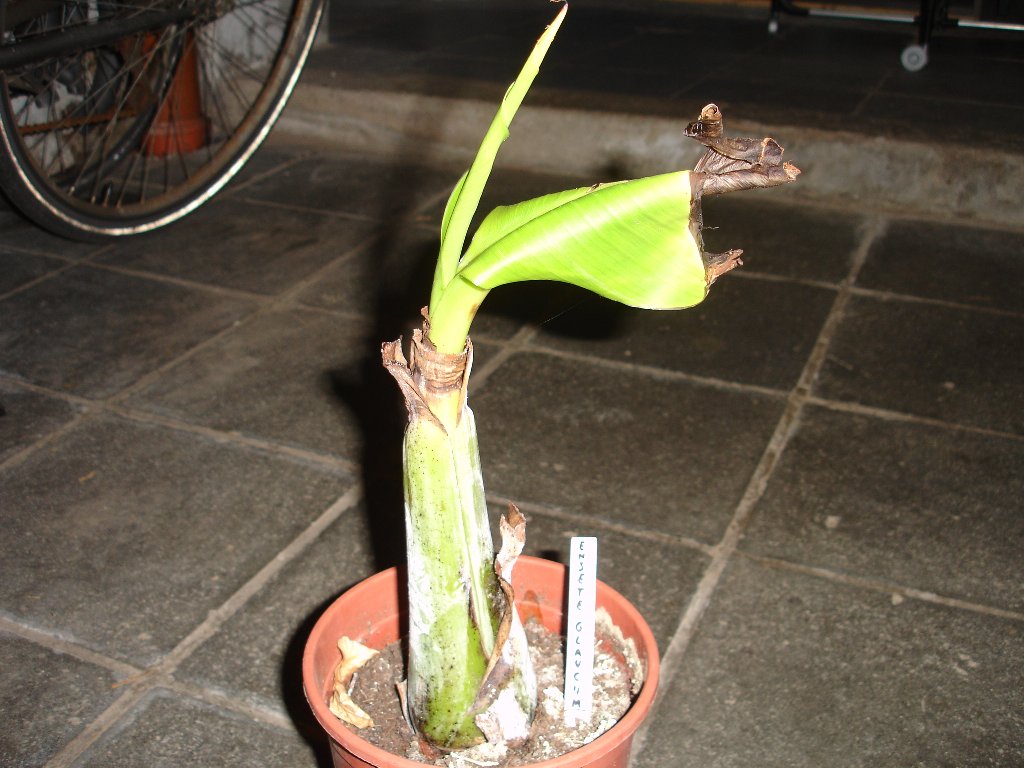 tuin 437_1024x768.jpg