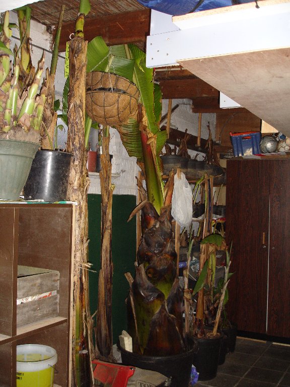 tuin 440_576x768.jpg