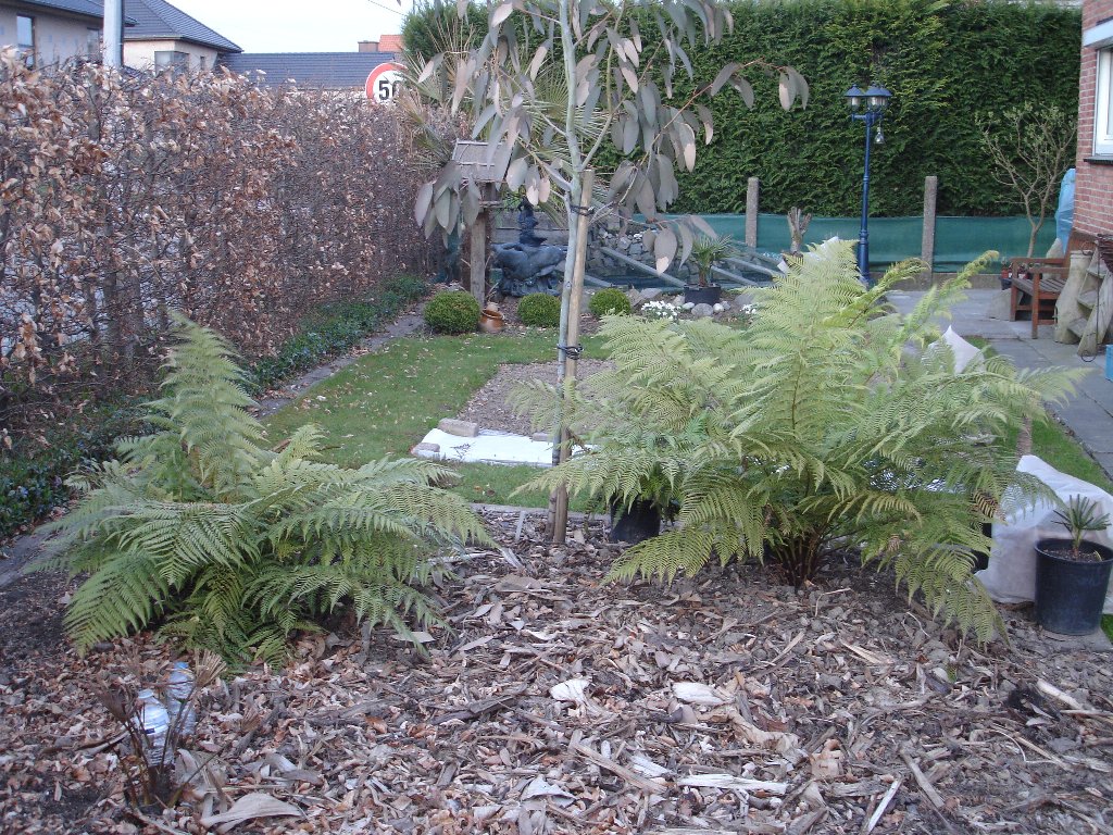 tuin 442_1024x768.jpg